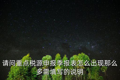 重點稅源申報要填什么，重點稅源申報表怎樣填
