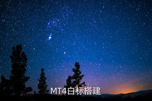 稅務(wù)系統(tǒng)為什么進(jìn)行容災(zāi)建設(shè)，小微企業(yè)該購買什么樣的服務(wù)器涉及生產(chǎn)倉儲(chǔ)銷售和財(cái)務(wù)等  搜