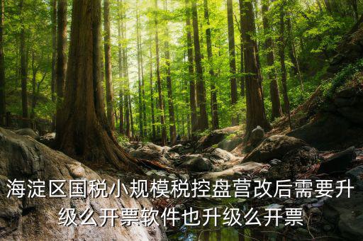 稅控盤為什么要升級，稅控盤鎖了找稅務(wù)專管員處理了說拿回來要升級一下怎么升級