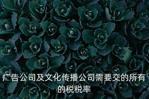 廣告公司需要交什么稅，廣告公司及文化傳播公司需要交的所有的稅稅率