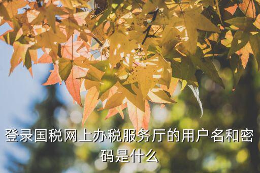 江蘇國稅電子稅務(wù)局登錄用戶名是什么，江蘇國稅網(wǎng)上辦稅服務(wù)廳的用戶名是什么