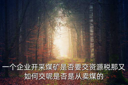 煤在什么環(huán)節(jié)征資源稅，煤礦資源稅稅率