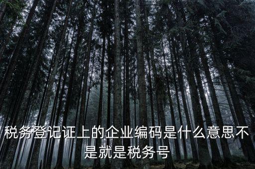 稅務編碼是什么意思，稅務登記證上的企業(yè)編碼是什么意思不是就是稅務號
