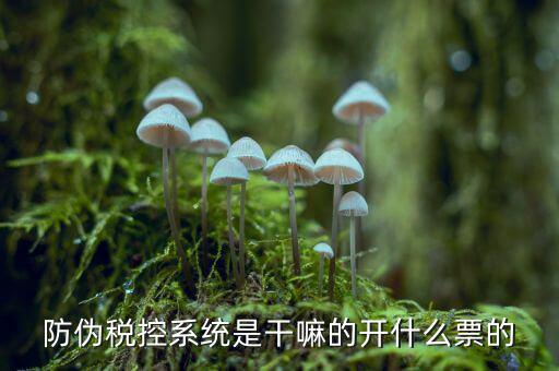 什么是稅控系統(tǒng)數(shù)據(jù)，金稅盤是什么