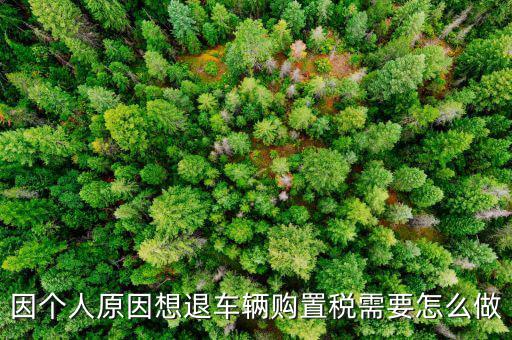 因個(gè)人原因想退車(chē)輛購(gòu)置稅需要怎么做