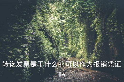 什么叫轉(zhuǎn)發(fā)票，我開了一張農(nóng)村合作信用社的轉(zhuǎn)賬發(fā)票請(qǐng)問什么是對(duì)應(yīng)發(fā)票