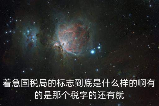稅優(yōu)識別碼是什么樣的，納稅人辨認號和代碼是1樣的
