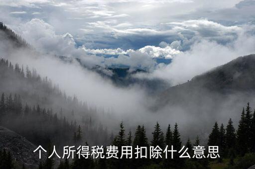 稅收扣除是什么，個人所得稅費用扣除什么意思