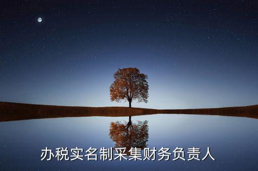 什么是實(shí)名辦稅，辦稅實(shí)名制采集財(cái)務(wù)負(fù)責(zé)人
