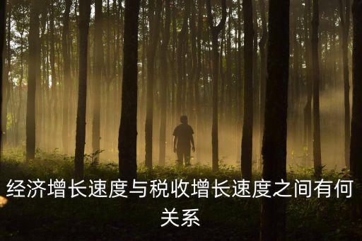 稅收增速是什么，經(jīng)濟(jì)增長速度與稅收增長速度之間有何關(guān)系