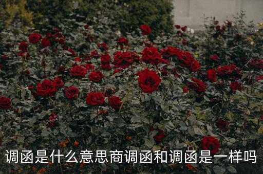 國(guó)稅調(diào)函是什么意思，國(guó)稅要來(lái)函條是怎么回事啊