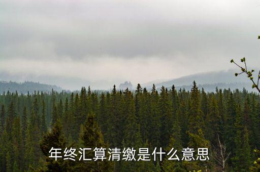 什么是企業(yè)匯算清繳，為什么年底要進(jìn)行企業(yè)所得匯算清繳