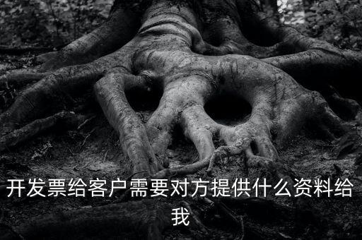 開票需要對方提供什么資料嗎，開發(fā)票給客戶需要對方提供什么資料給我
