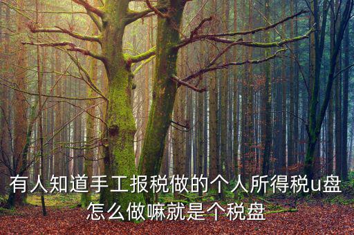 繳個(gè)稅用什么盤申報(bào)，個(gè)人所得稅報(bào)盤怎么弄