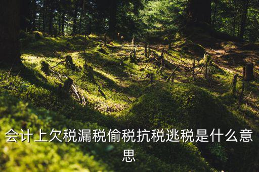 欠繳稅額是什么意思，增值稅申報表第26欄實收出口開具專用繳款書退稅額指的是什么