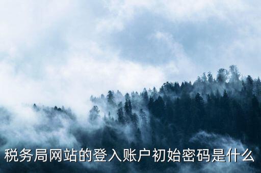 國稅網(wǎng)上登陸密碼是什么，稅務(wù)局網(wǎng)站的登入賬戶初始密碼是什么
