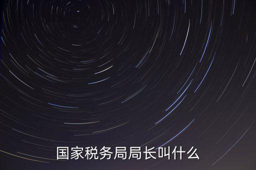 國家稅務局局長叫什么
