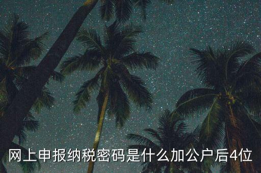 網(wǎng)上如何申報國稅密碼是什么，國稅第一次網(wǎng)上申報的登陸密碼是什么