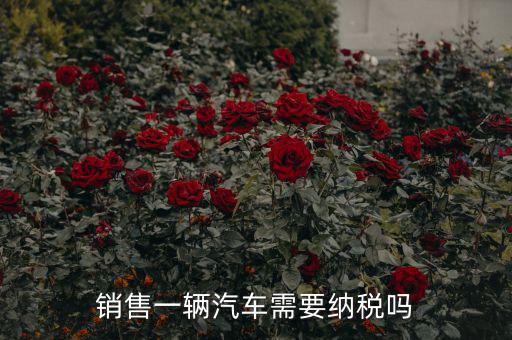 銷售汽車征收什么稅，銷售一輛汽車需要納稅嗎