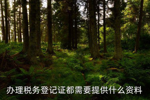 辦理稅務(wù)登記需要什么資料，辦理稅務(wù)登記證都需要提供什么資料