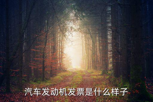 汽車發(fā)動(dòng)機(jī)發(fā)票是什么樣子