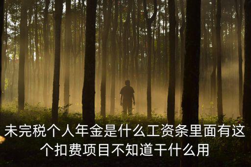 個(gè)稅年金是什么，未完稅個(gè)人年金是什么工資條里面有這個(gè)扣費(fèi)項(xiàng)目不知道干什么用