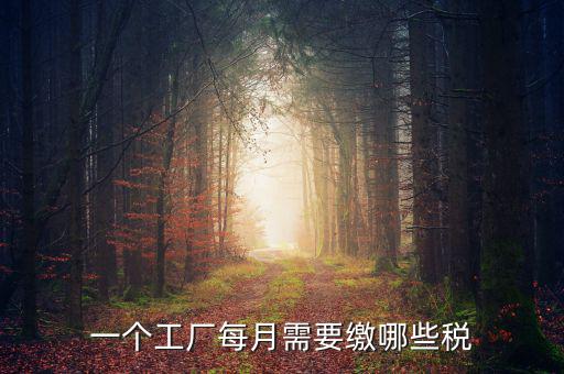一個(gè)工廠(chǎng)每月需要繳哪些稅