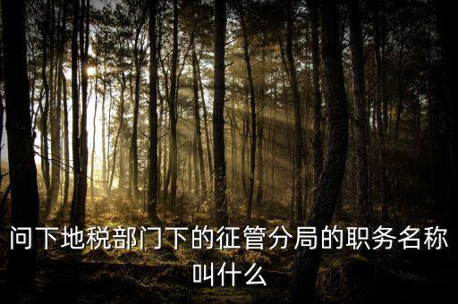 問下地稅部門下的征管分局的職務名稱叫什么