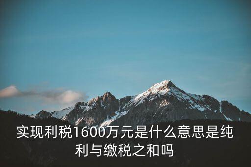 實(shí)時繳稅是什么意思，實(shí)時扣稅務(wù)請求3001什么意思