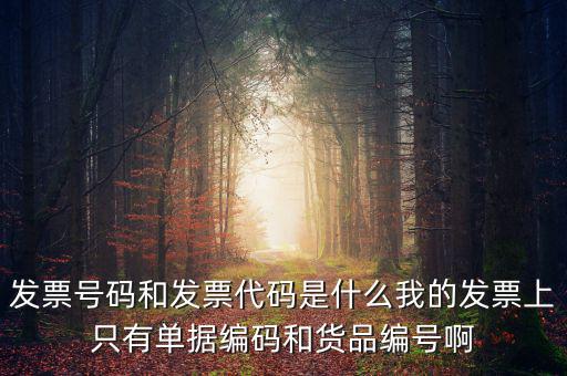 發(fā)票代碼指什么地方，增值稅普通發(fā)票的12位發(fā)票代碼在什么位置