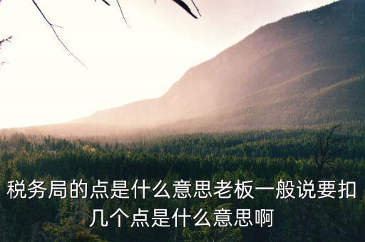 稅務(wù)局是什么意思，國稅局的具體解釋是什么
