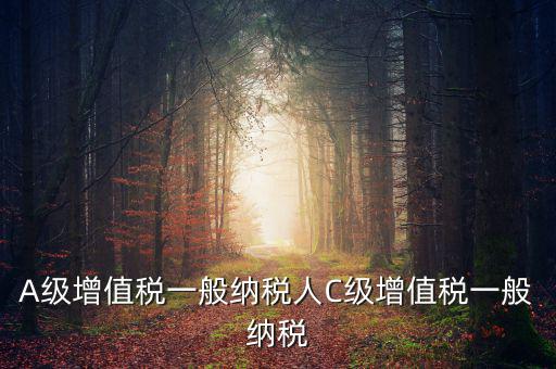 b級納稅人是什么意思，A級增值稅一般納稅人C級增值稅一般納稅
