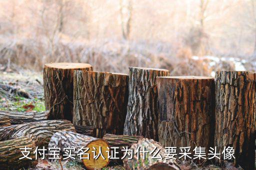 為什么要實名采集，會計人員為什么要信息采集