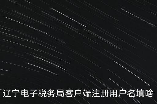 網(wǎng)上辦稅帳號(hào)是什么，登錄國(guó)稅網(wǎng)上辦稅服務(wù)廳的用戶名和密碼是什么