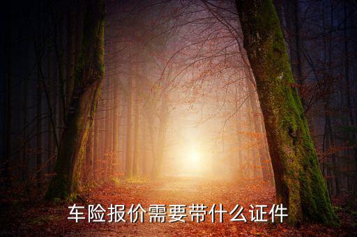 車輛保險(xiǎn)專票需要什么，車險(xiǎn)報(bào)價(jià)需要帶什么證件