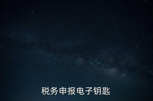 稅務(wù)申報電子鑰匙