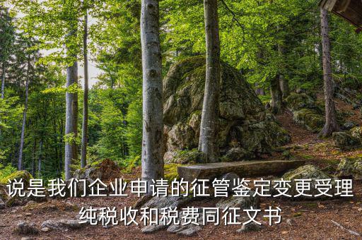說是我們企業(yè)申請的征管鑒定變更受理純稅收和稅費同征文書