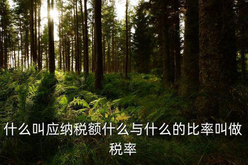 什么叫應用稅額，各種收入等于應用稅額除以什么