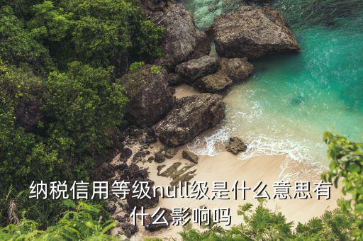 納稅信用等級是什么，納稅信用等級null級是什么意思有什么影響嗎