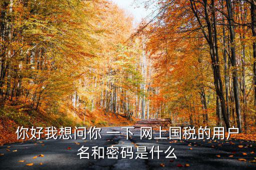 國稅登陸名和密碼是什么意思，國稅第一次網(wǎng)上申報的登陸密碼是什么