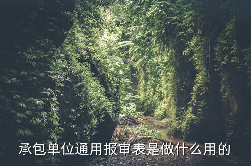 通用申報(bào)是什么意思，申報(bào)是什么意思