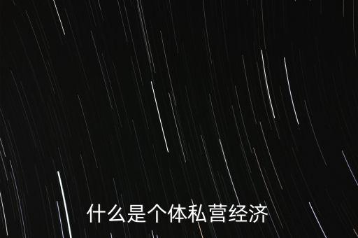 什么是個體私營經(jīng)濟(jì)