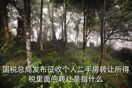 稅收轉(zhuǎn)讓是什么，國(guó)稅總局發(fā)布征收個(gè)人二手房轉(zhuǎn)讓所得稅里面的轉(zhuǎn)讓是指什么