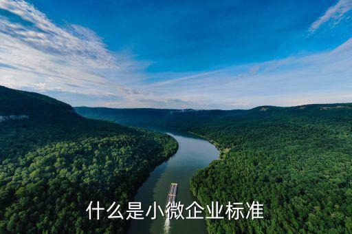什么是小型微利企業(yè)標(biāo)準(zhǔn)，微小型企業(yè)的標(biāo)準(zhǔn)是什么