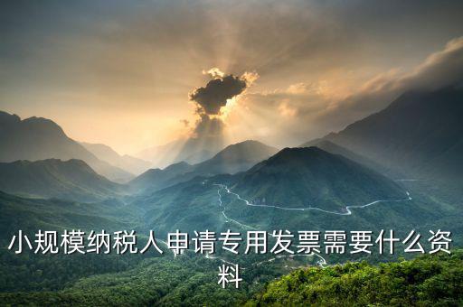 小規(guī)模申請專票需要核實(shí)什么，小規(guī)模納稅人申請專用發(fā)票需要什么資料