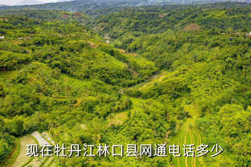 林口縣稅務(wù)局電話號碼是什么，現(xiàn)在牡丹江林口縣網(wǎng)通電話多少