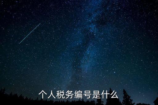 個人的稅收編號是什么，個人所得稅里面的注冊編碼是什么