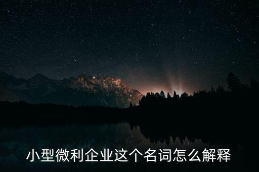 微利成公司是什么意思，小型微利企業(yè)這個(gè)名詞怎么解釋