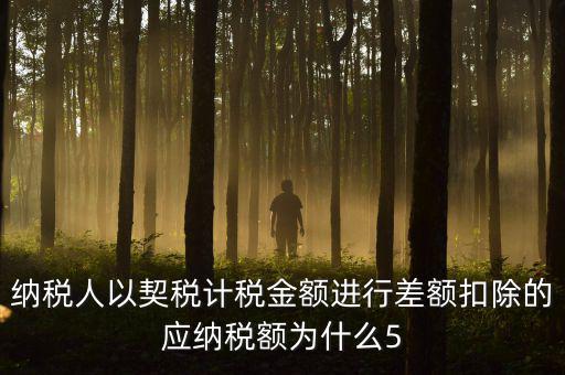 為什么 契稅 差額計稅，最新房產(chǎn)稅費