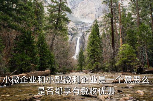 小型微利企業(yè)是什么，小微企業(yè)和小型微利企業(yè)是一個(gè)意思么是否都享有稅收優(yōu)惠